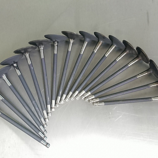 Valve rods